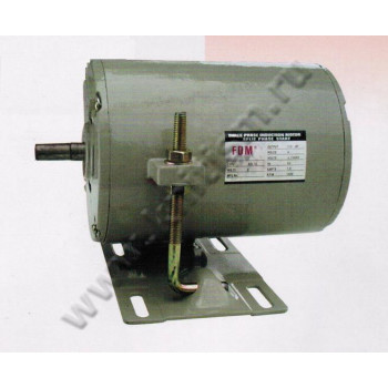 Индукционный мотор FSM 220 вольт